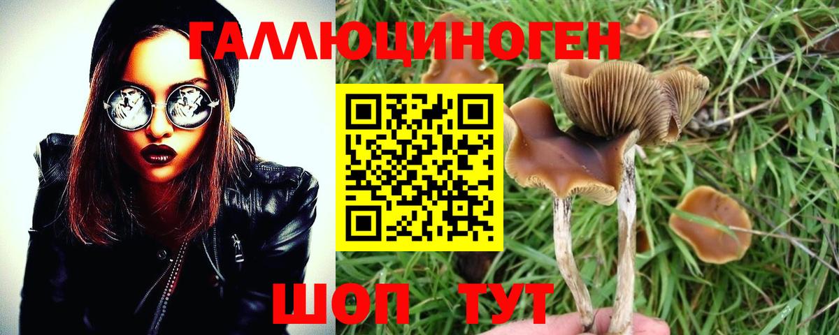 Галлюциногенные грибы MAGIC MUSHROOMS Губкин