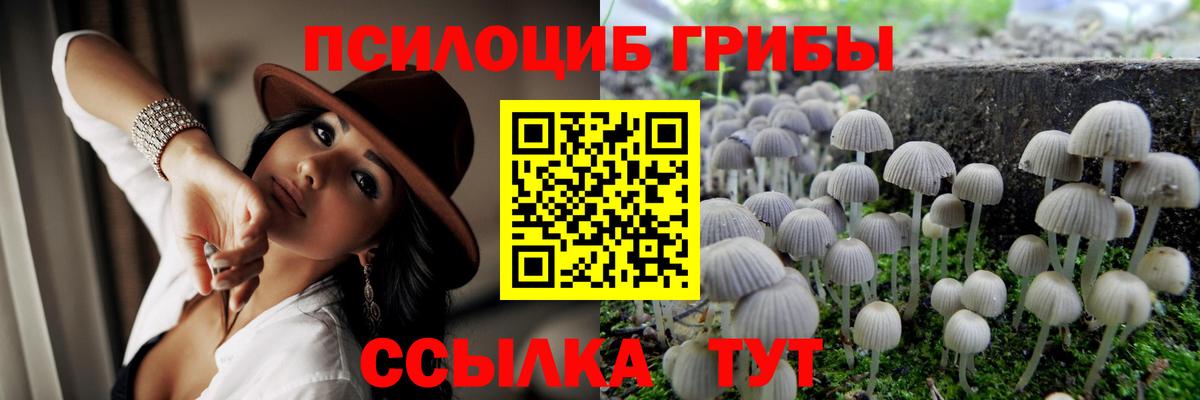 Псилоцибиновые грибы Psilocybine cubensis  Вход с VPN  Губкин 